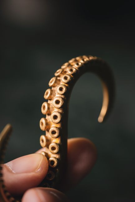 octopus tentacle texture