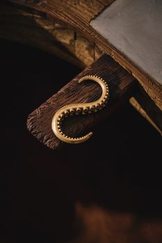 A vintage-style octopus tentacle hook on a textured wooden board, captured in warm tones.