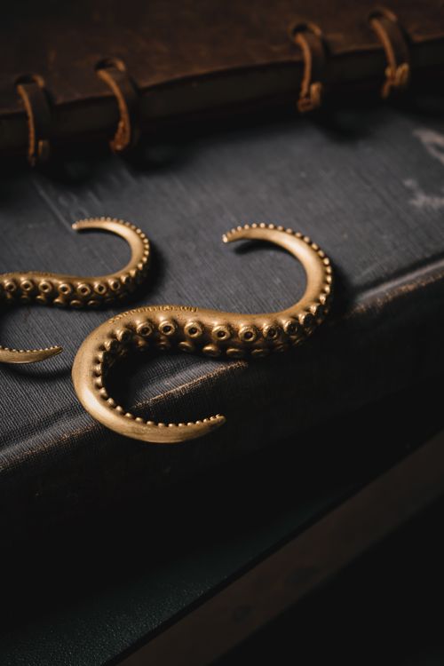 Free Bronze octopus tentacle hooks on an aged leather book evoke a sense of nostalgia and mystery. Stock Photo