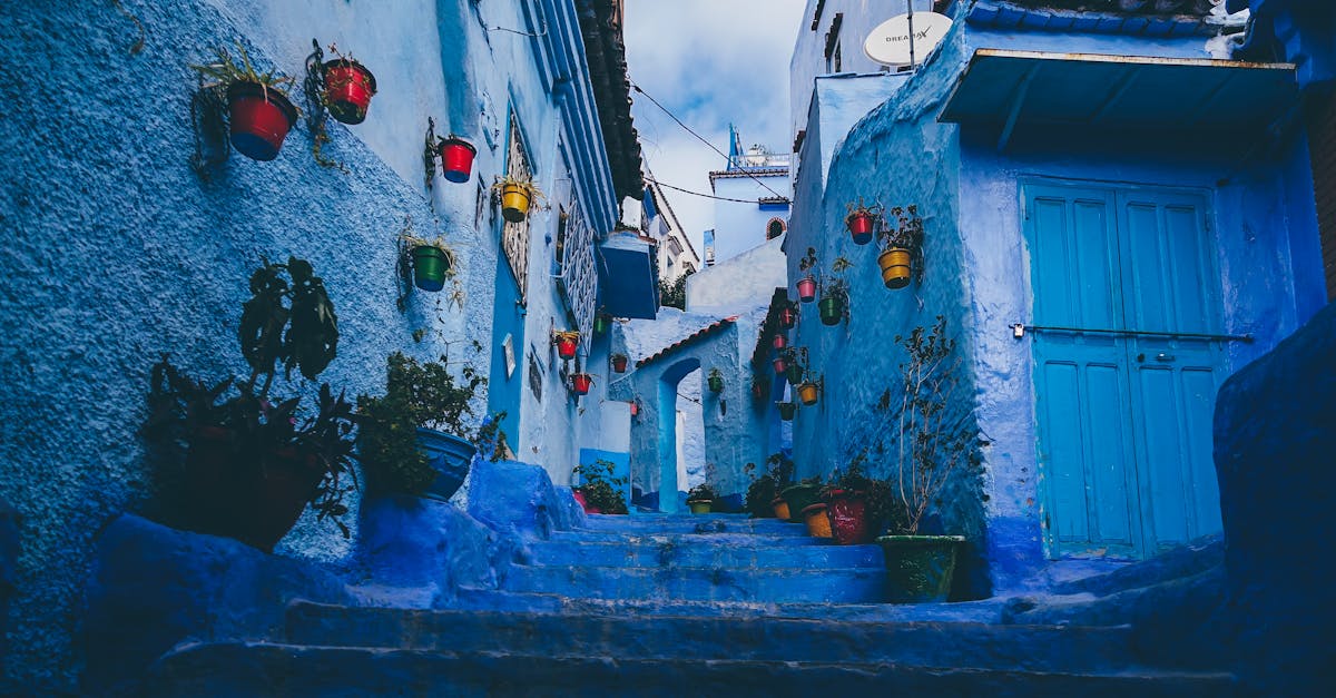 Chefchaouen Medina, Morocco, Blue Buildings, Alleyways, Potted Plants