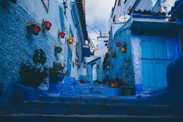 Blue hour suspended plants Chefchaouen