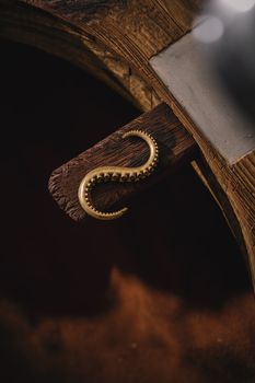 Close-up of a vintage brass tentacle hook mounted on rustic wooden surface, warm lighting accentuates details.