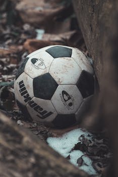 A well-used soccer ball resting in a patch of leaves, evoking nostalgia for outdoor play.