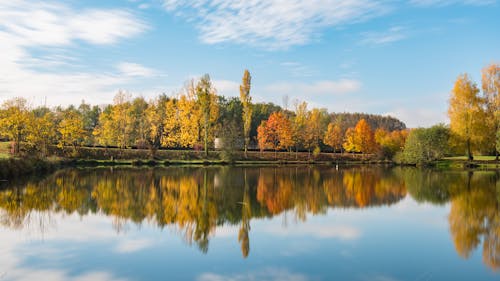 Gratis lagerfoto af dam, etang, farven på automn