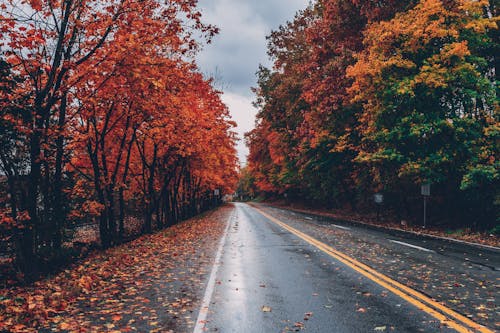 Yolun Geniş Açılı Fotoğrafı