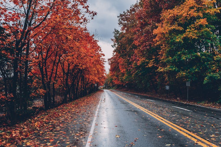 Wide Angle Photo Of Road