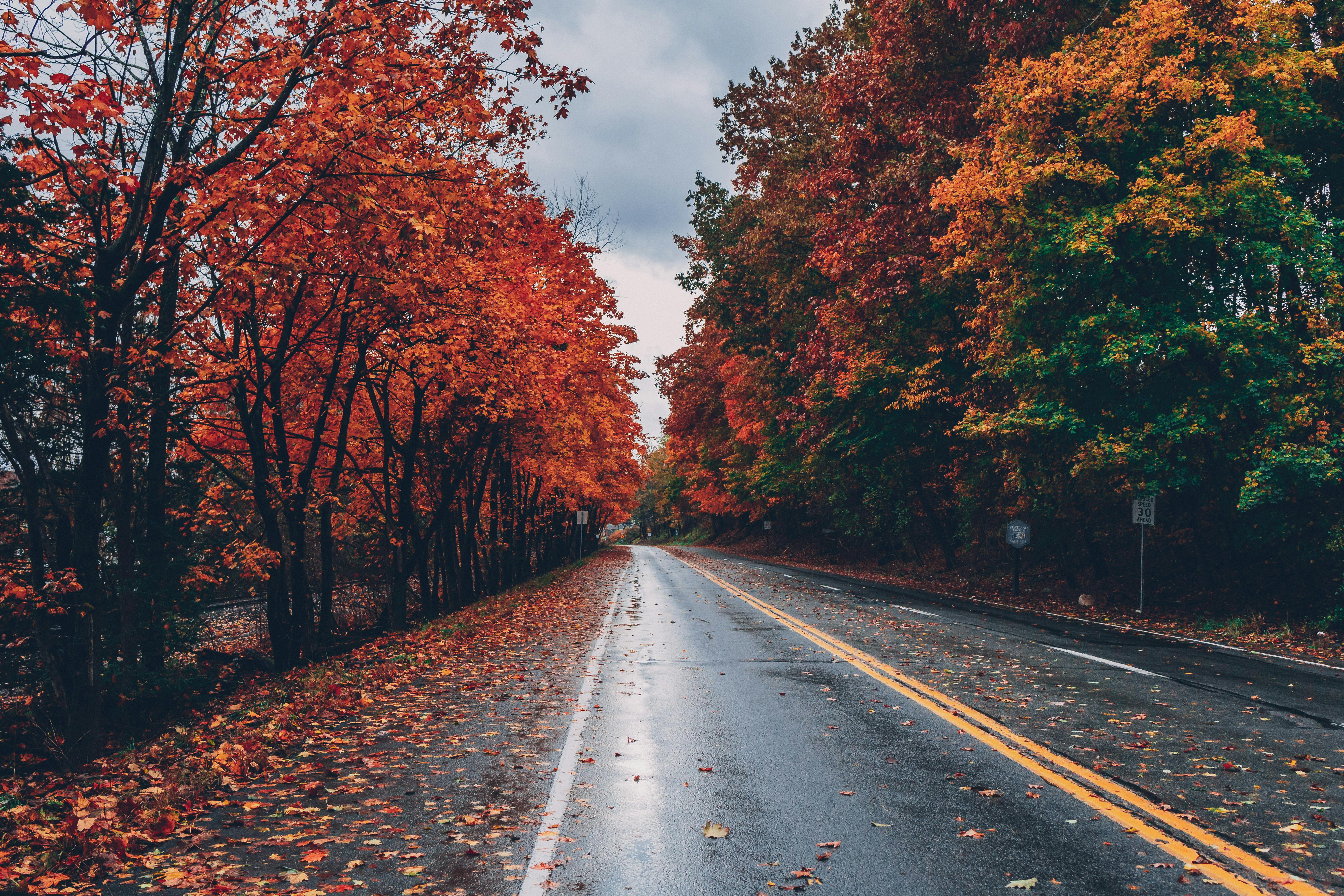 Wide Angle Photo Of Road \u00b7 Free Stock Photo