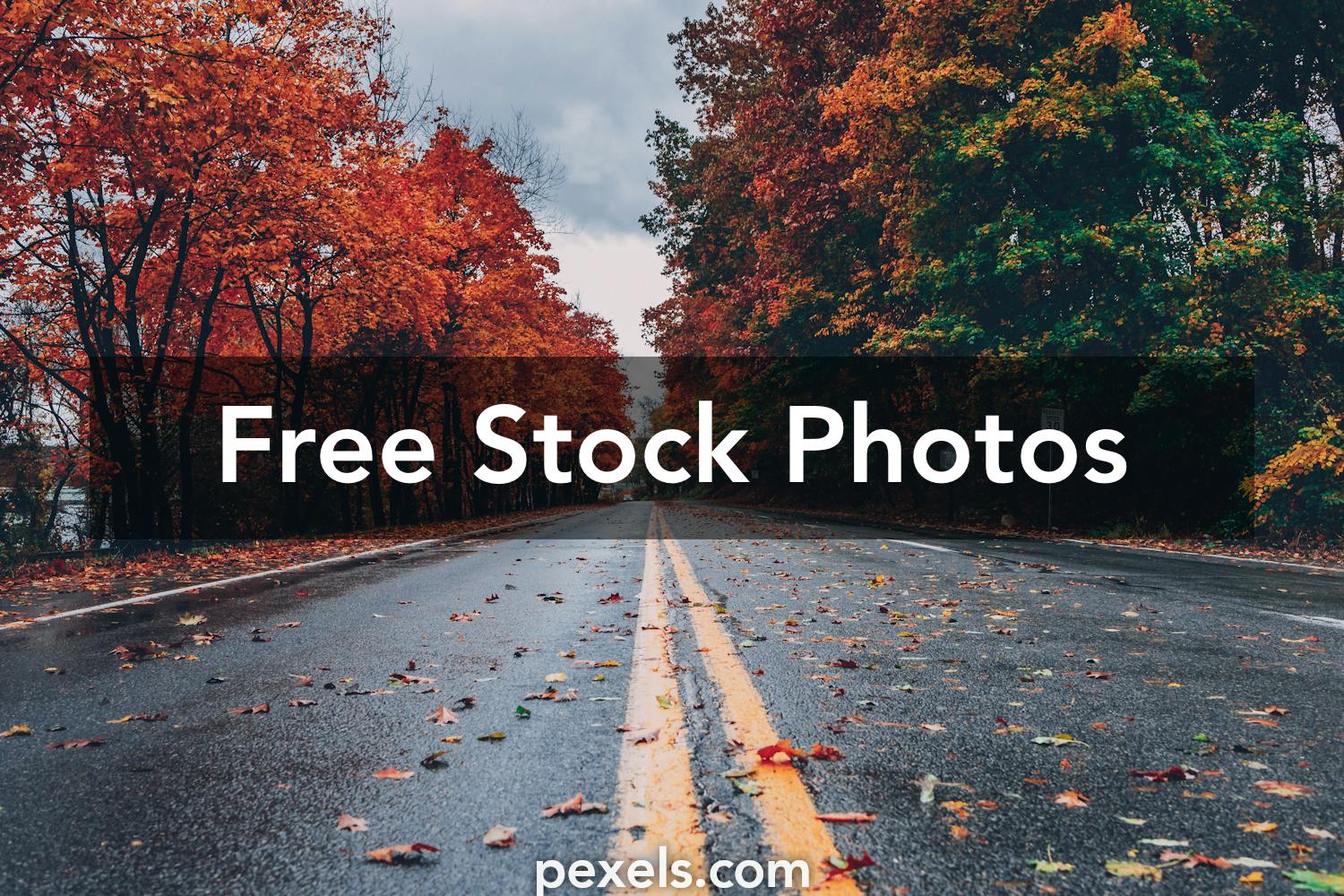 10000 Best Free No Copyright Photos · 100 Free Download · Pexels