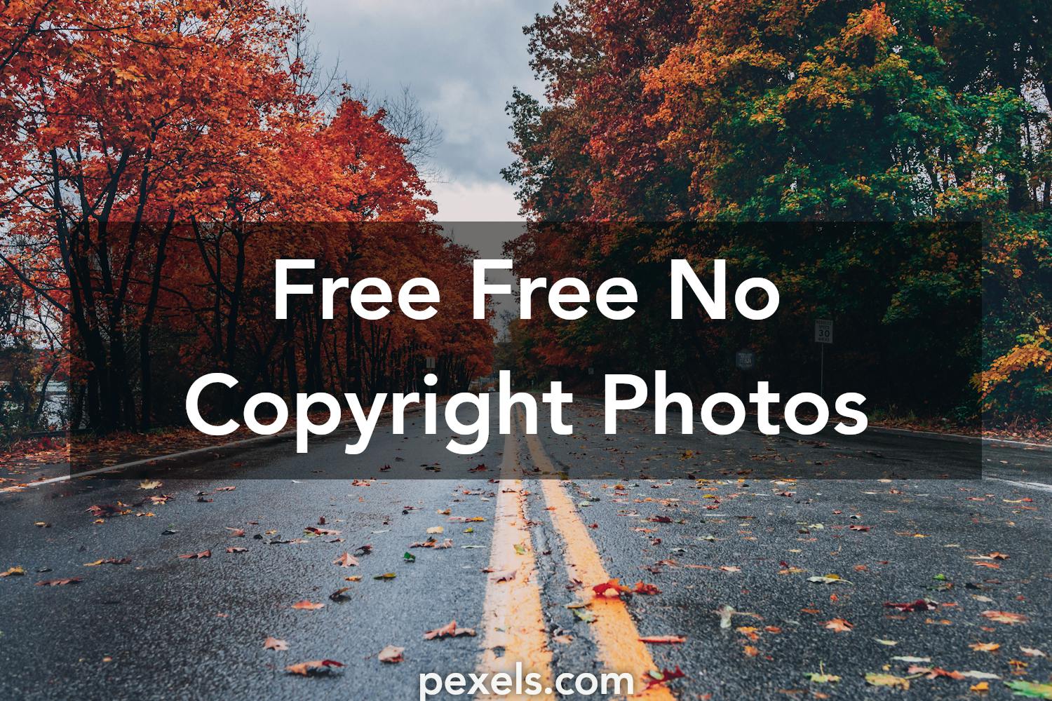 250 Interesting Free No  Copyright  Photos  Pexels  Free 
