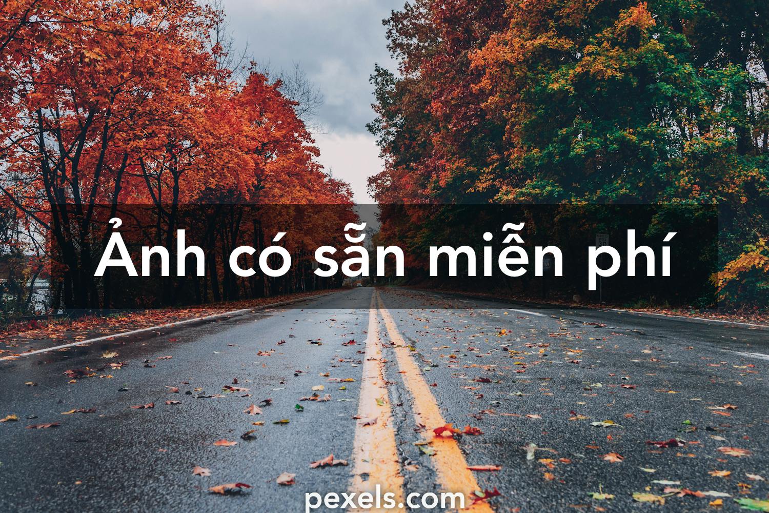 Lựa chọn ngay nền miễn phí để tô điểm cho màn hình máy tính của bạn thêm phần sinh động và trẻ trung mà không mất bất kỳ chi phí nào.