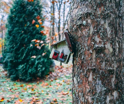 一座乡村鸟舍连接在树干上，位于风景优美的秋季森林环境中