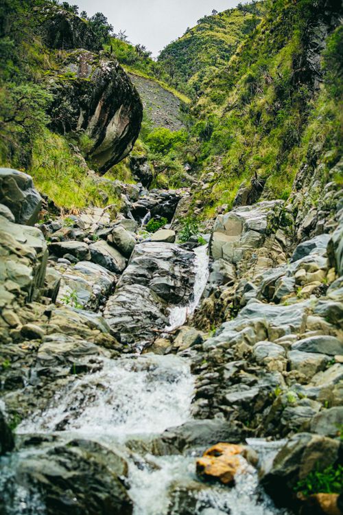 Free A picturesque mountain stream cascades through rugged boulders in a lush, green landscape. Stock Photo
