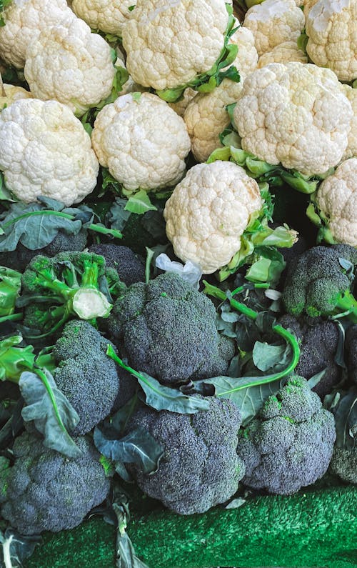 Cauliflowers and Broccoli on a Farm