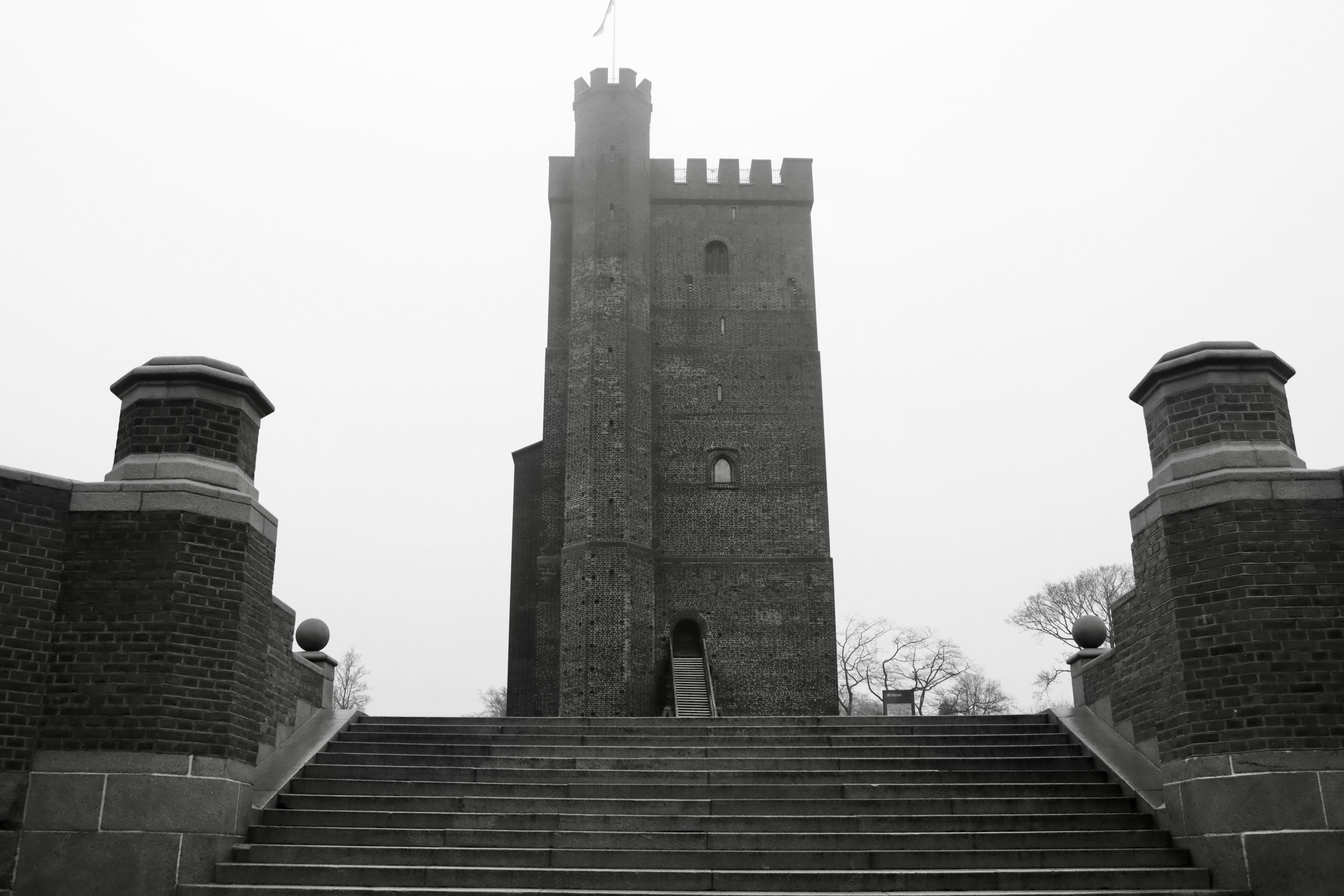 Karnan in Black and White · Free Stock Photo