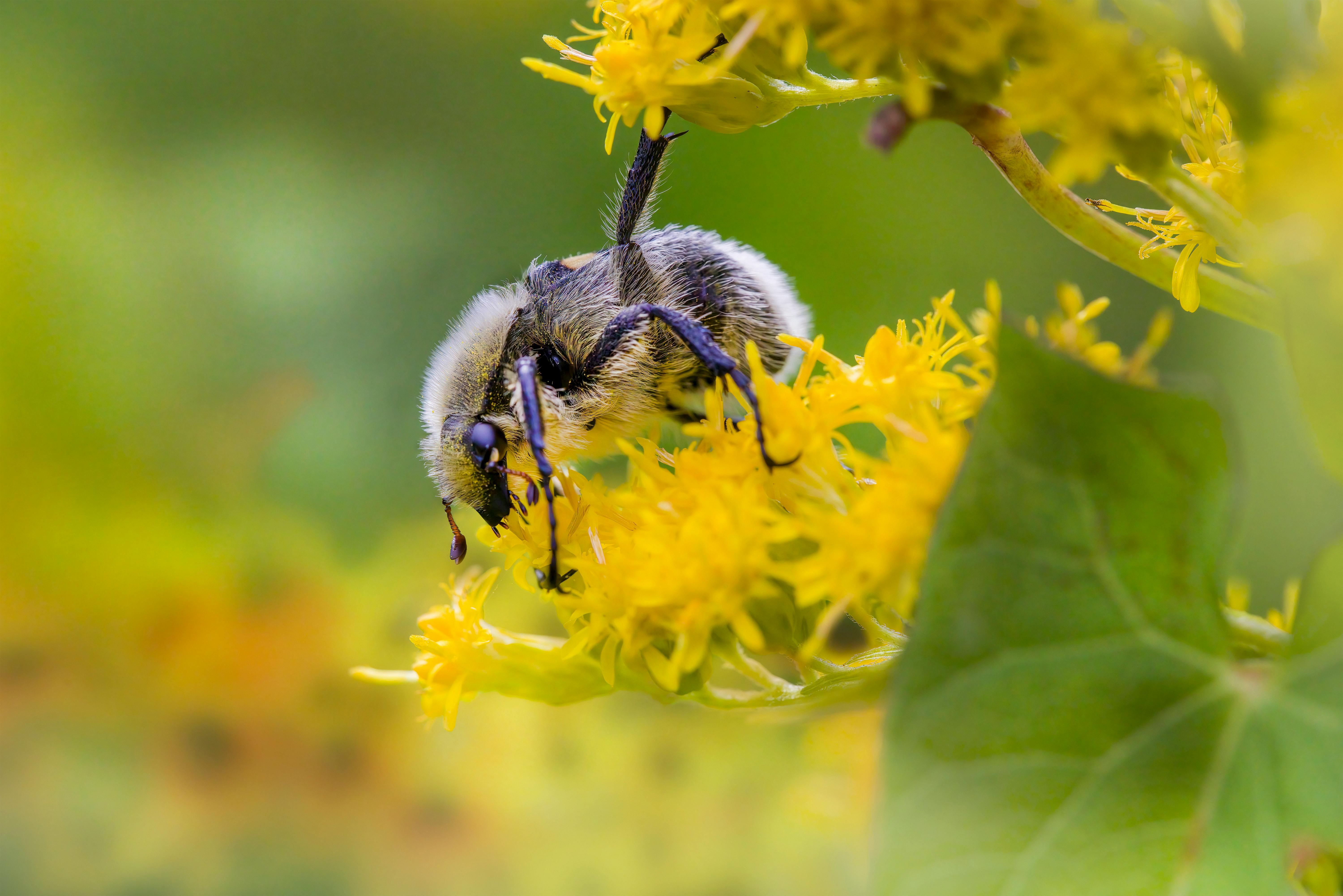 Ark Valley Civics Bee Competition to Send Three Local Students to State — Photo by Erik Karits on Pexels