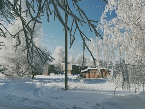 Wooden Buildings among Snow