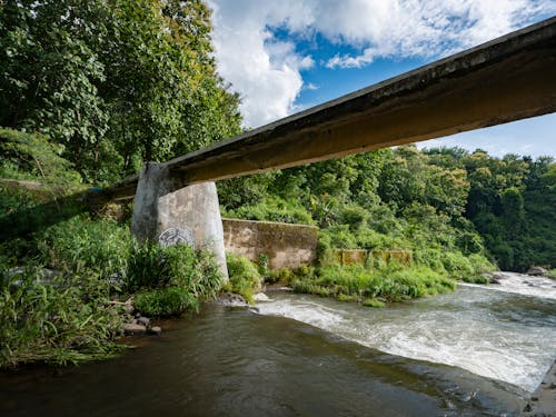 Kostenloses Stock Foto zu brücke, brücken, fluss