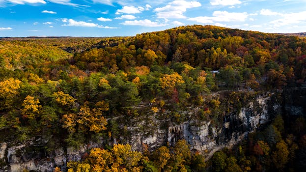 明亮的天空下，五颜六色的秋天森林和悬崖构成了一幅迷人的鸟瞰图