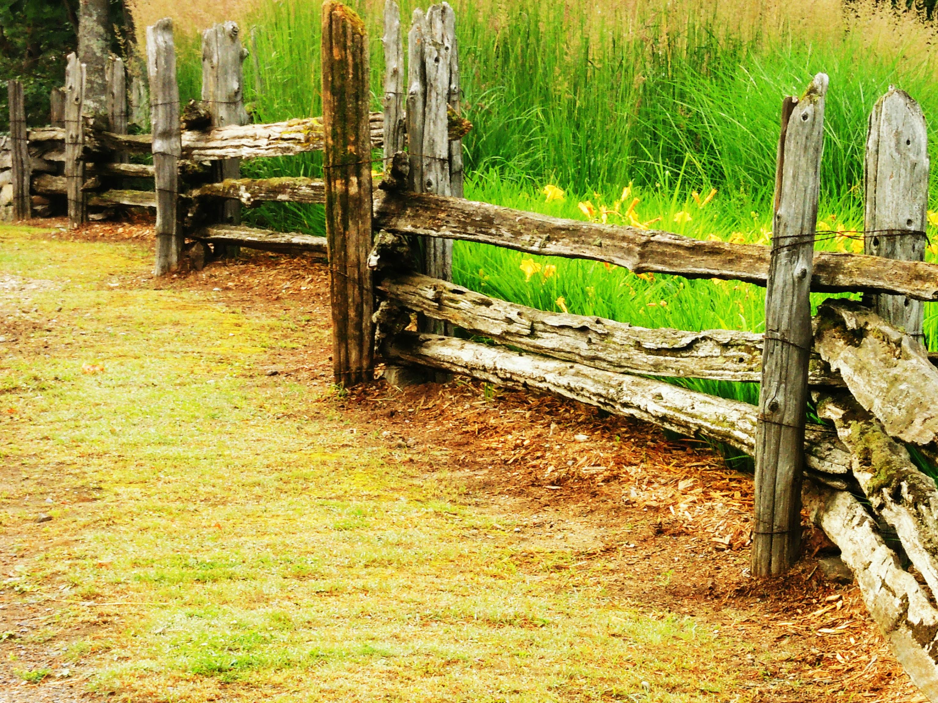 Free stock photo of fence, field, grass