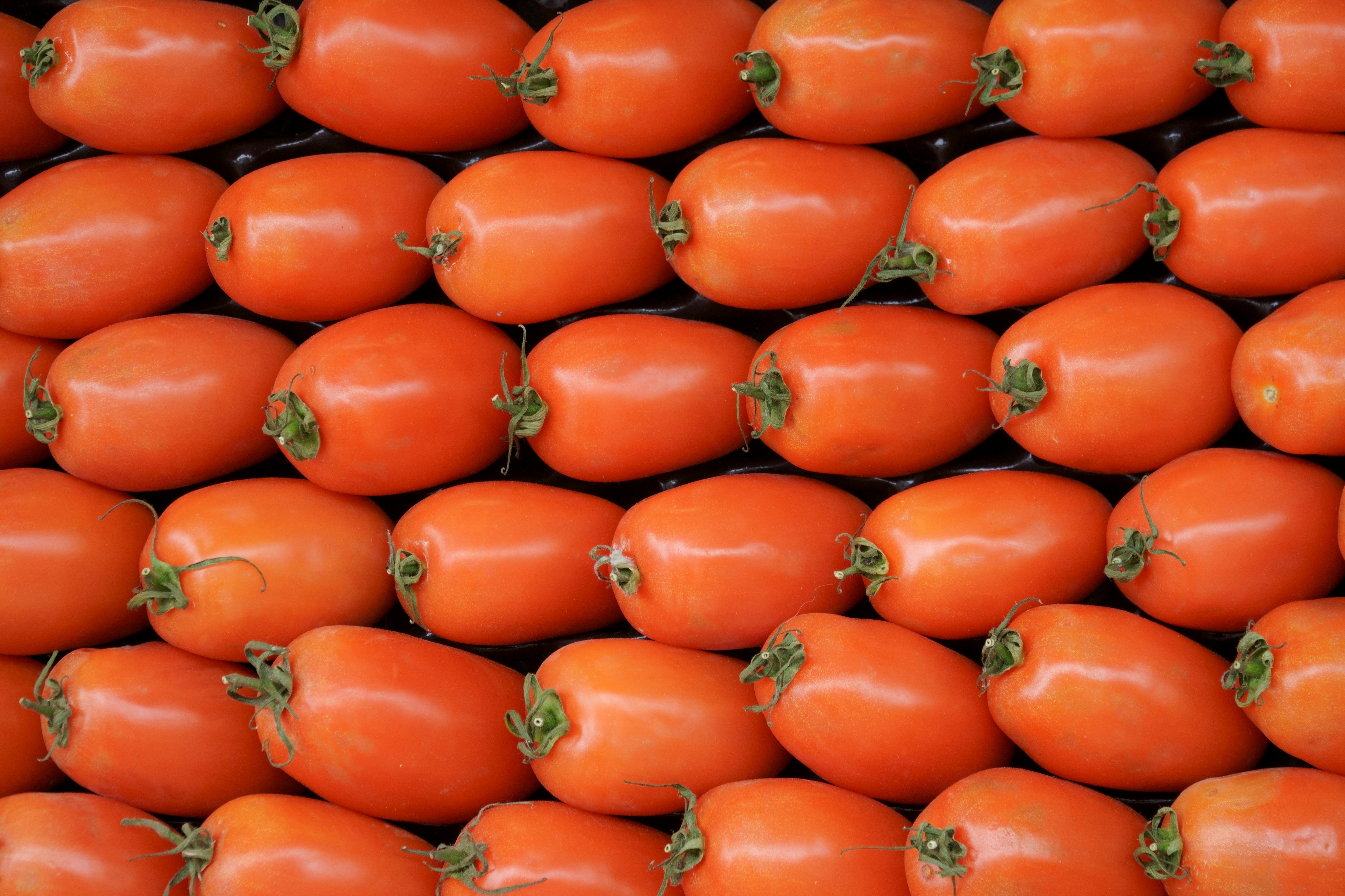 Große Rabatte diese Woche portret van roma · Photo Stock tomaten Free