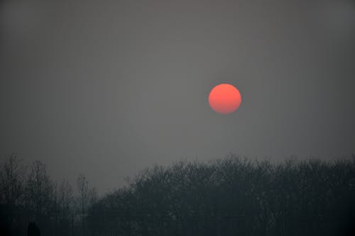 Free stock photo of red sun, sunset