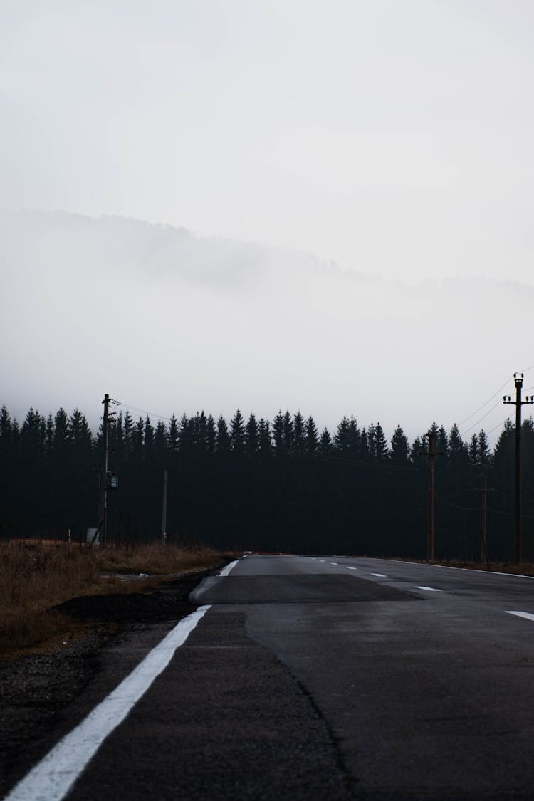 Empty Road On Cold Day