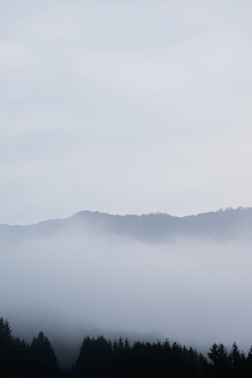Landscape of Foggy Mountains 