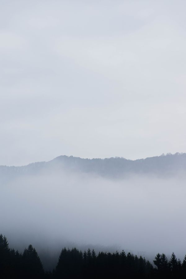 Mountains veiled in fog above a forest — photo by Bogdan Ciprian on Pexels