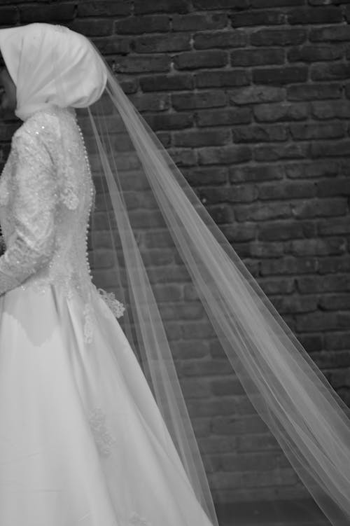 Woman in Wedding Dress with Veil