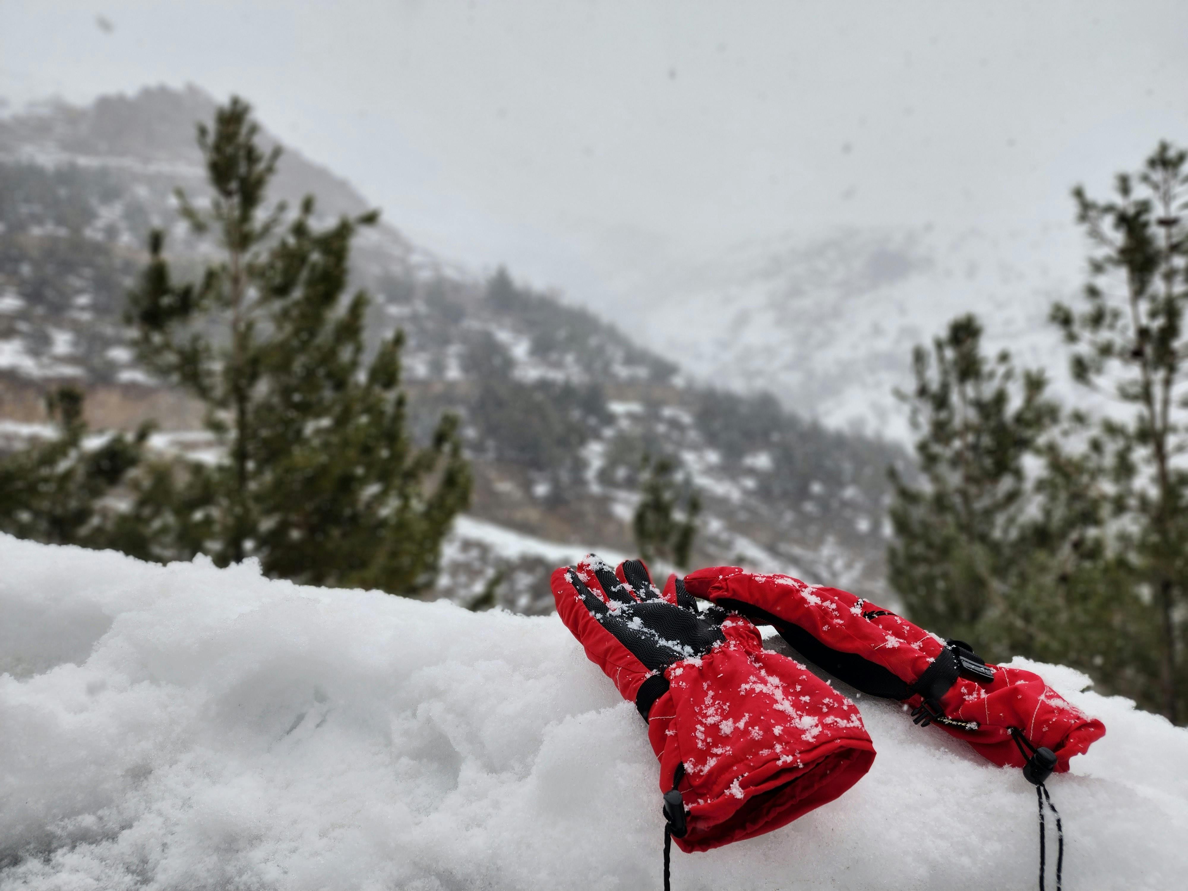 gear reviews gear review lab — Photo by Aref Sarkhosh on Pexels