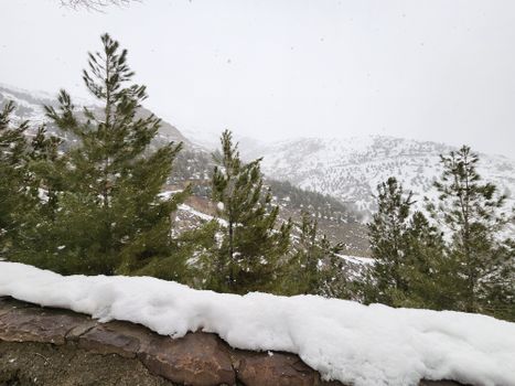 Scenic winter landscape of snow-covered mountains and pine trees near Tehran, Iran.