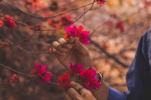 Plucking Flower