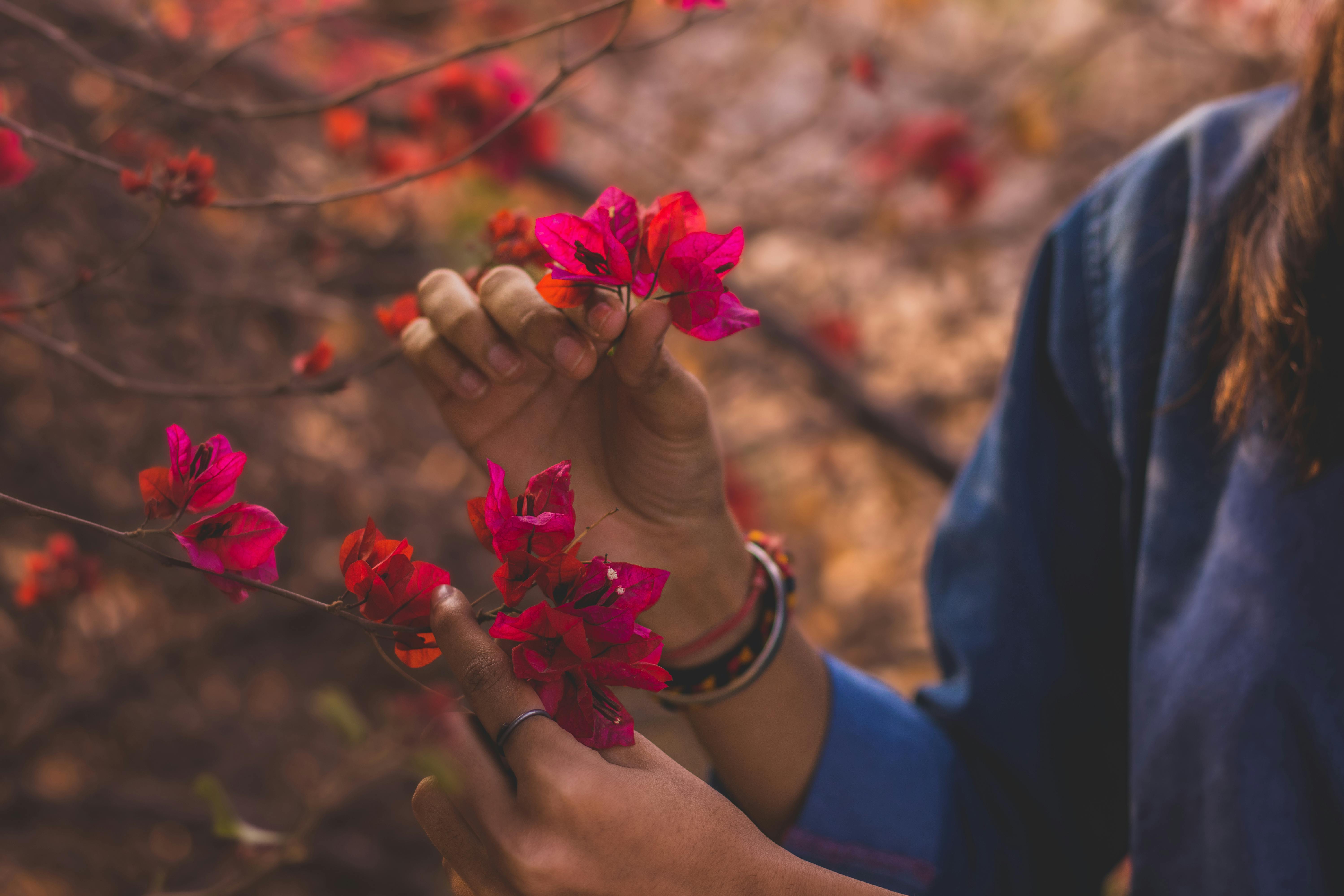 Gratis Fotos de stock gratuitas de Adobe Photoshop, al aire libre, amable Foto de stock