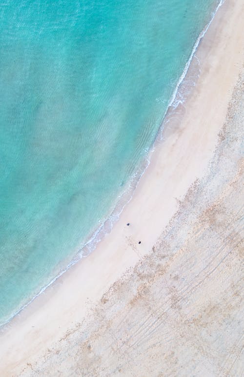 Top View of a Beach and Turquoise Water 
