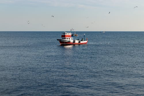 Imagine de stoc gratuită din barcă de pescuit, mare, marin