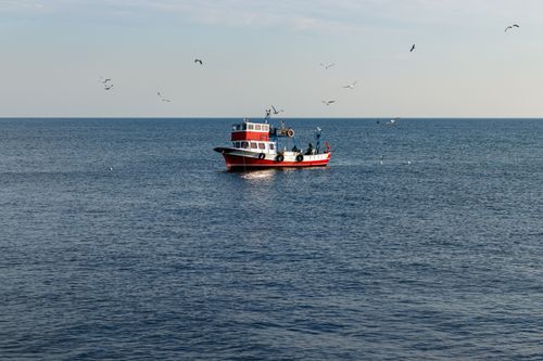 Free A scenic view of a fishing boat on the Bosphorus with birds flying overhead, Istanbul, Turkey. Stock Photo