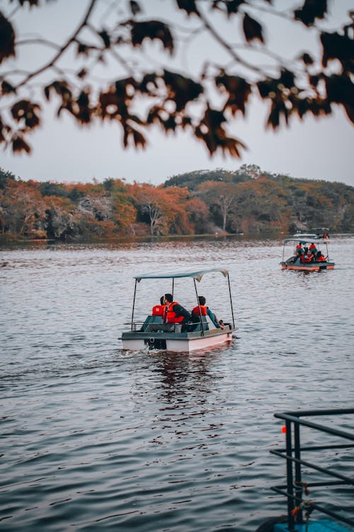 Free Photo of Pedalos on a Lake in Autumn Stock Photo