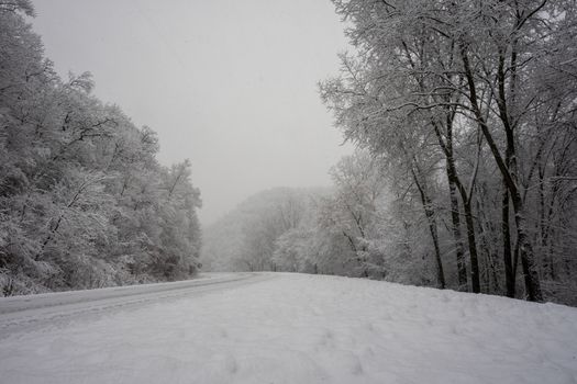 A serene snowy road through a winter forest in Minnesota, USA, showcasing a tranquil cold season landscape.