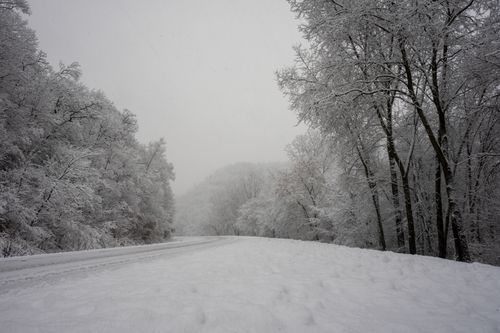 Free A serene snowy road through a winter forest in Minnesota, USA, showcasing a tranquil cold season landscape. Stock Photo