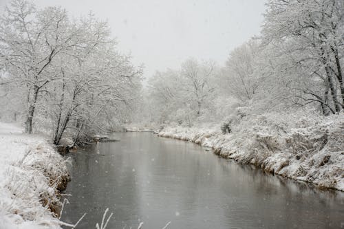 Winter Landscape with a River and Snowy Trees