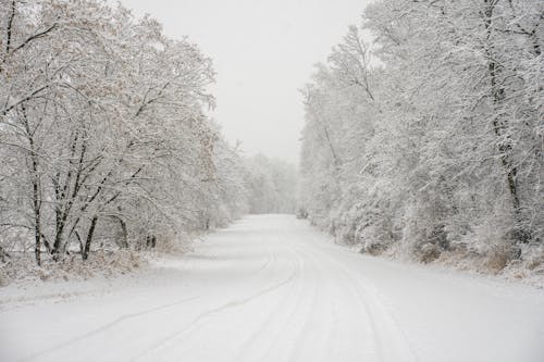 Scenic Landscape with a Snowy Road in Winter