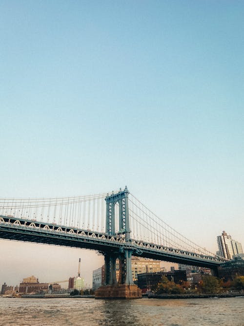アメリカ, シティ, つり橋の無料の写真素材