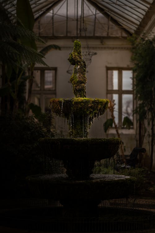 Fountain in Greenhouse