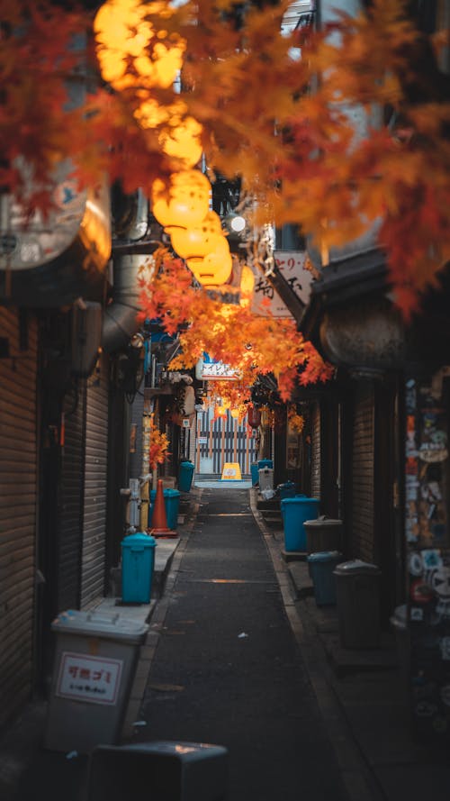 Lanterns over Narrow Street