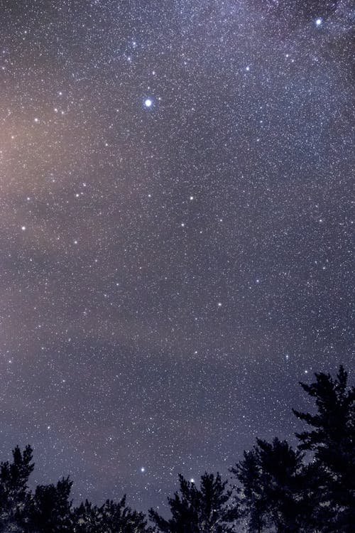 açık hava, ağaçlar, akşam içeren Ücretsiz stok fotoğraf