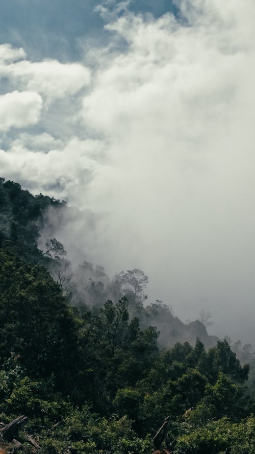 Foto profissional grátis de garoa, montanha, neblina