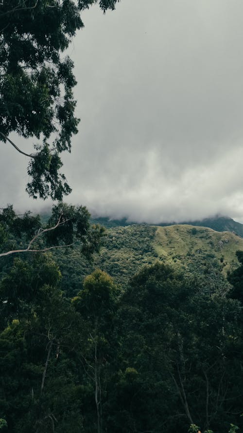 垂直拍摄, 多雲的, 天空 的 免费素材图片