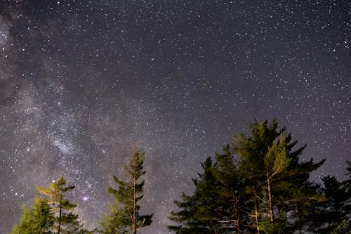 Free A Starry Night Stock Photo