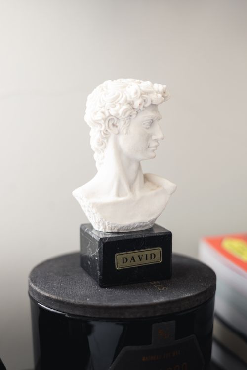 Free Elegant replica of Michelangelo's David bust in a stylish indoor setting, perfect for art enthusiasts. Stock Photo