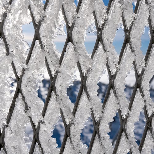 Close-up of Ice on a Fence 